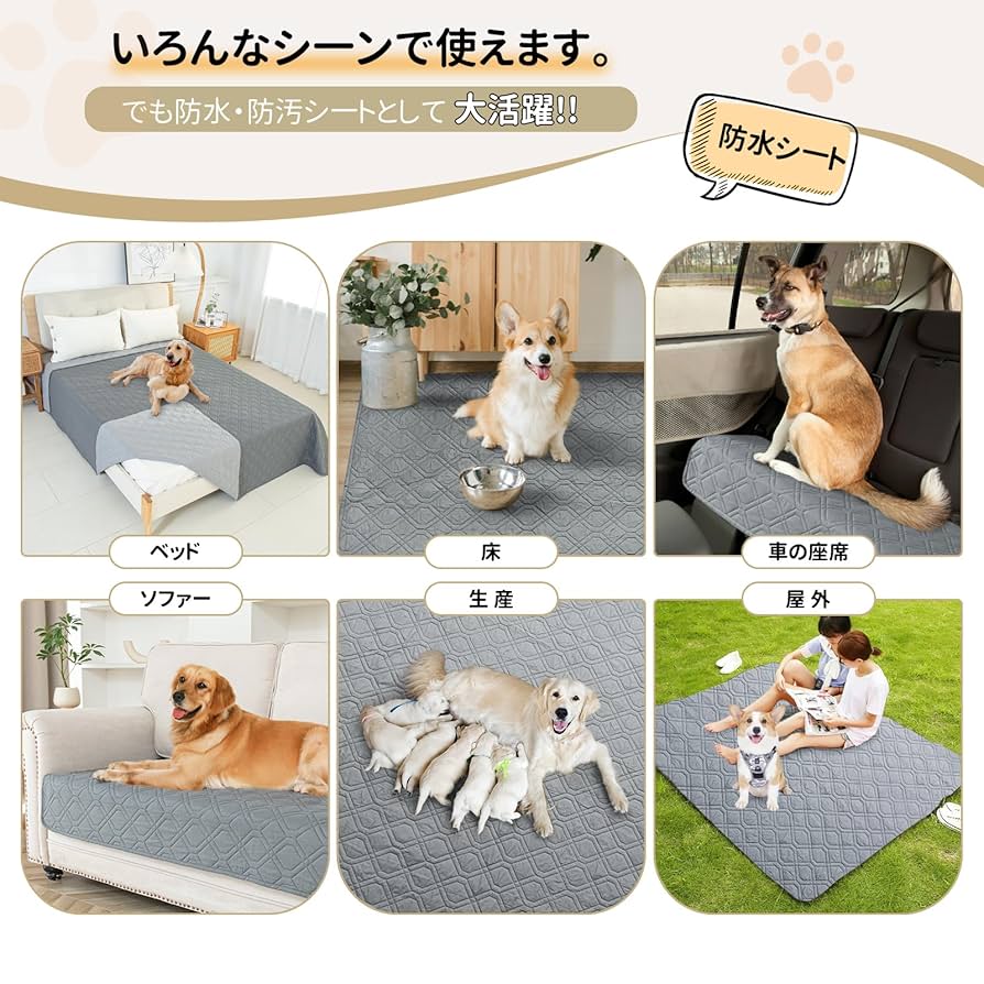 【¥3699】防水加工！どこでも使えて丈夫な　頻出衛生単語帳 Qbit いつでも簡単トイレ | 非常用・簡易トイレのことならQbit